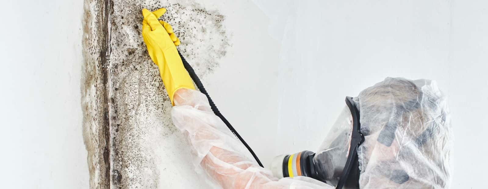 VlPZvHuWttQH-350AM alt